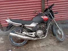 Libero