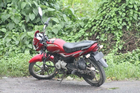 Bajaj Platina 100