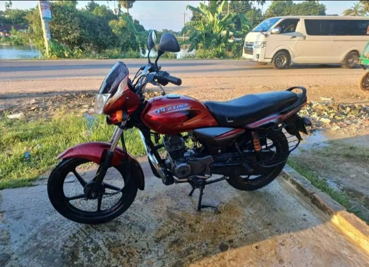 Bajaj Platina 100