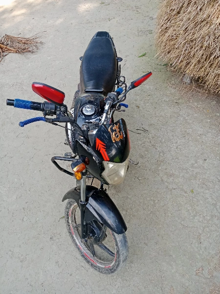 Zaara 100