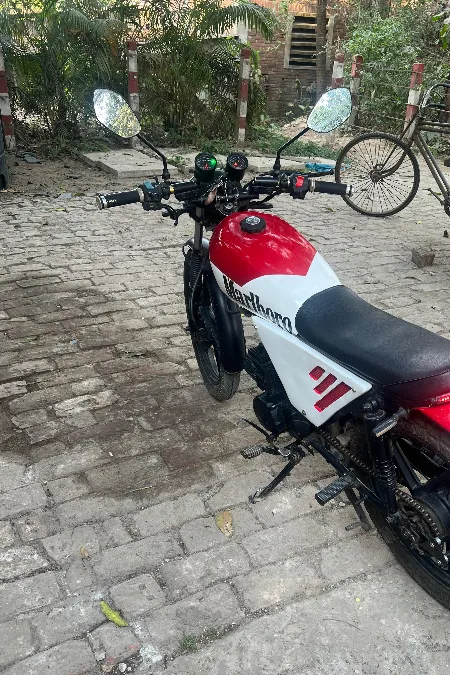 Walton Stylex 100 