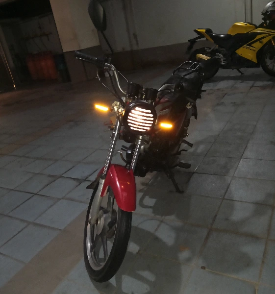 Walton Stylex 100 