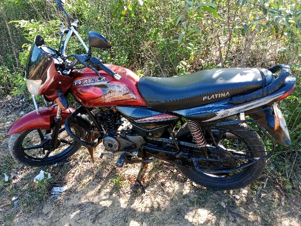 Bajaj Platina 100