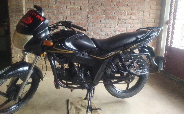 Zaara 100