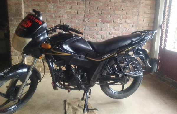 Zaara 100