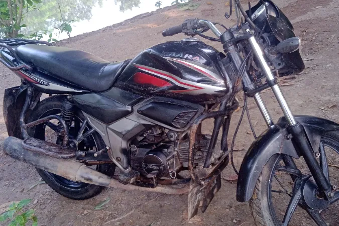 Zaara 110