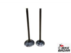 Honda CB Hornet 160R CBS Original Engine Valve(Set)