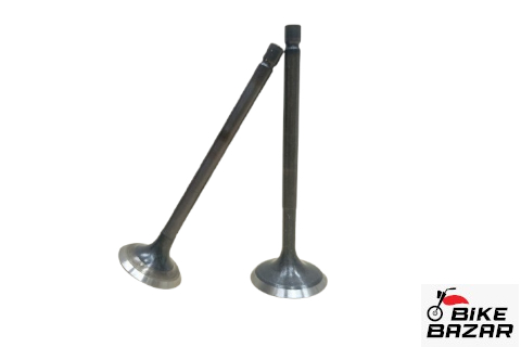TVS Apache RTR 160 4V with ABS Original Engine Valve(Set)