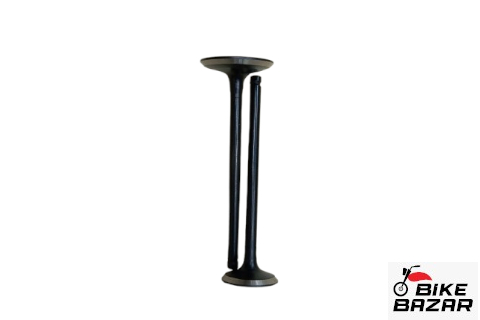 Hero Thriller 160R Original Engine Valve(Set)